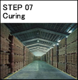 Step 07 Curing